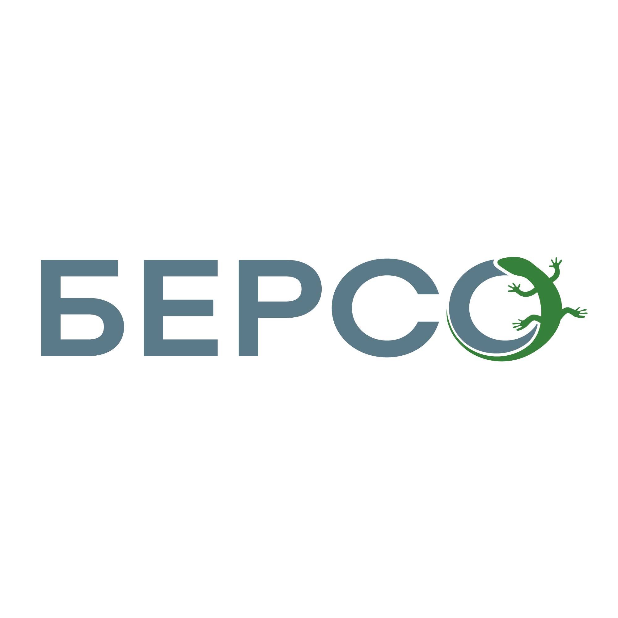 Иконка канала БЕРСО. Проектирование и благоустройство городской