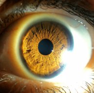 Иконка канала GreeZus