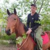 Иконка канала Horse Familу. Онлайн обучение лошади +79515024687