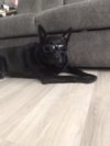 Иконка канала HelloButBye