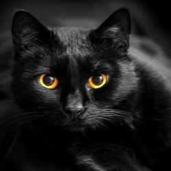 Иконка канала channel36171600