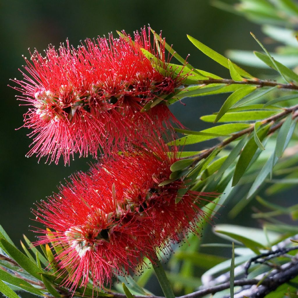 Иконка канала Хобби&О