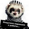 Иконка канала Sudar