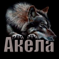 Иконка канала Alex Akela