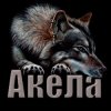 Иконка канала Alex Akela