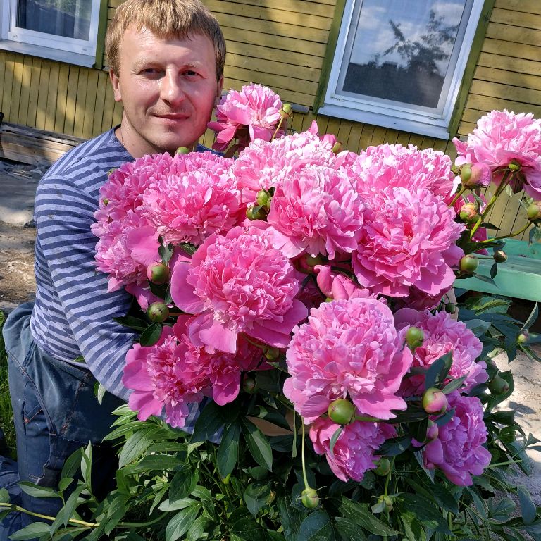 Аватар автора