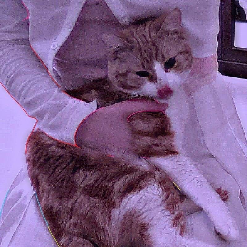 Иконка канала casper