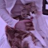 Иконка канала casper