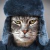 Иконка канала channel24504524