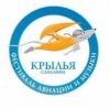 Иконка канала Крылья Сахалина