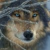 Иконка канала RayGrey