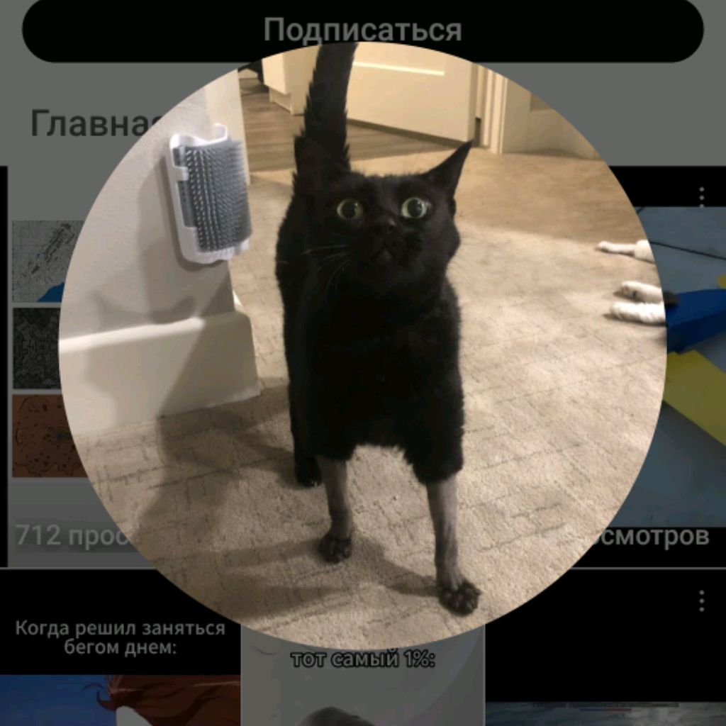 Аватар автора