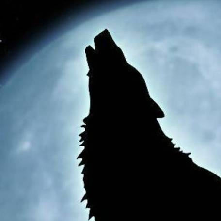 Иконка канала АНДРЕЙ ДОЛИНСКИЙ