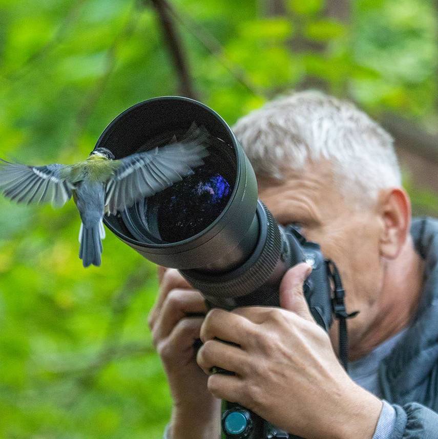 Аватар автора