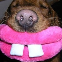 Иконка канала Вероника Козлова