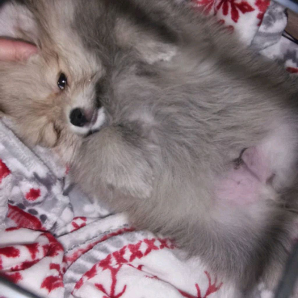 Иконка канала Татьяна