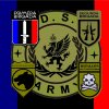 Иконка канала D.S.ARMY