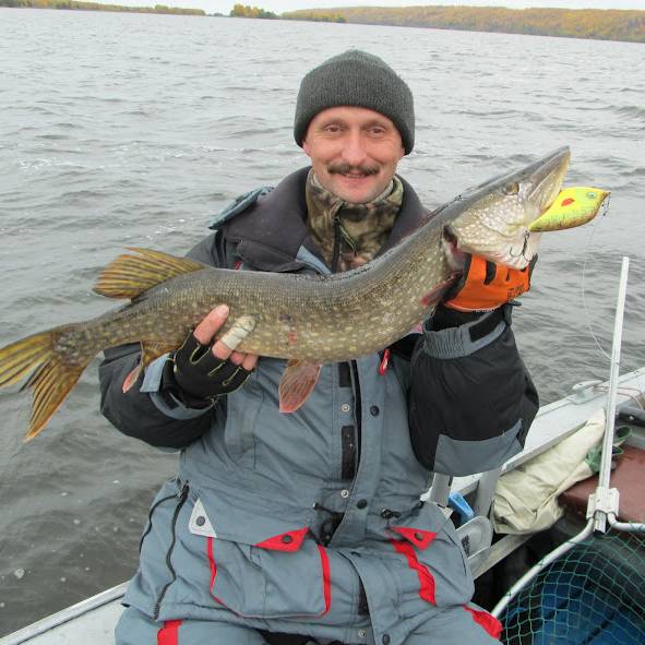 Аватар автора