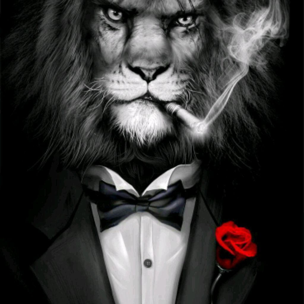 Иконка канала Bekzhasarov