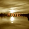 Иконка канала ВНДС