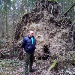 Аватар автора