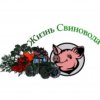 Иконка канала ЖИЗНЬ СВИНОВОДА