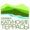 Иконка канала Zen Altay