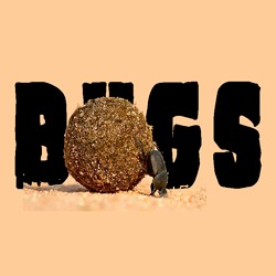 Иконка канала BUGS