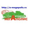 Иконка канала Автошкола Мегаполис Строгино