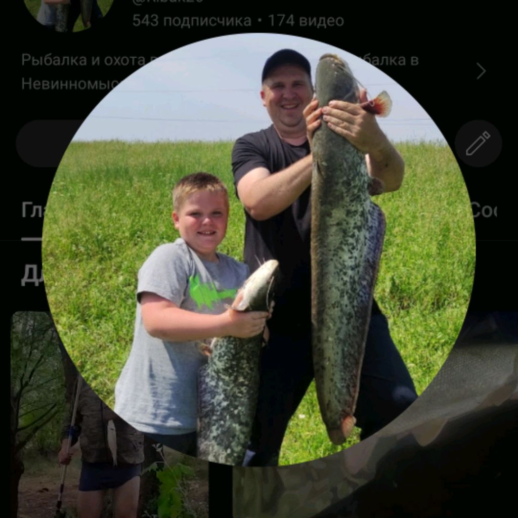 Аватар автора