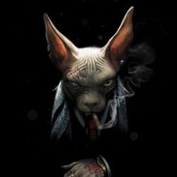 Аватар автора