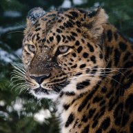 Иконка канала Алексей