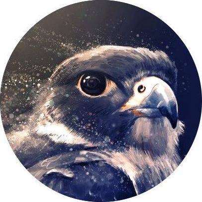 Иконка канала berrigan