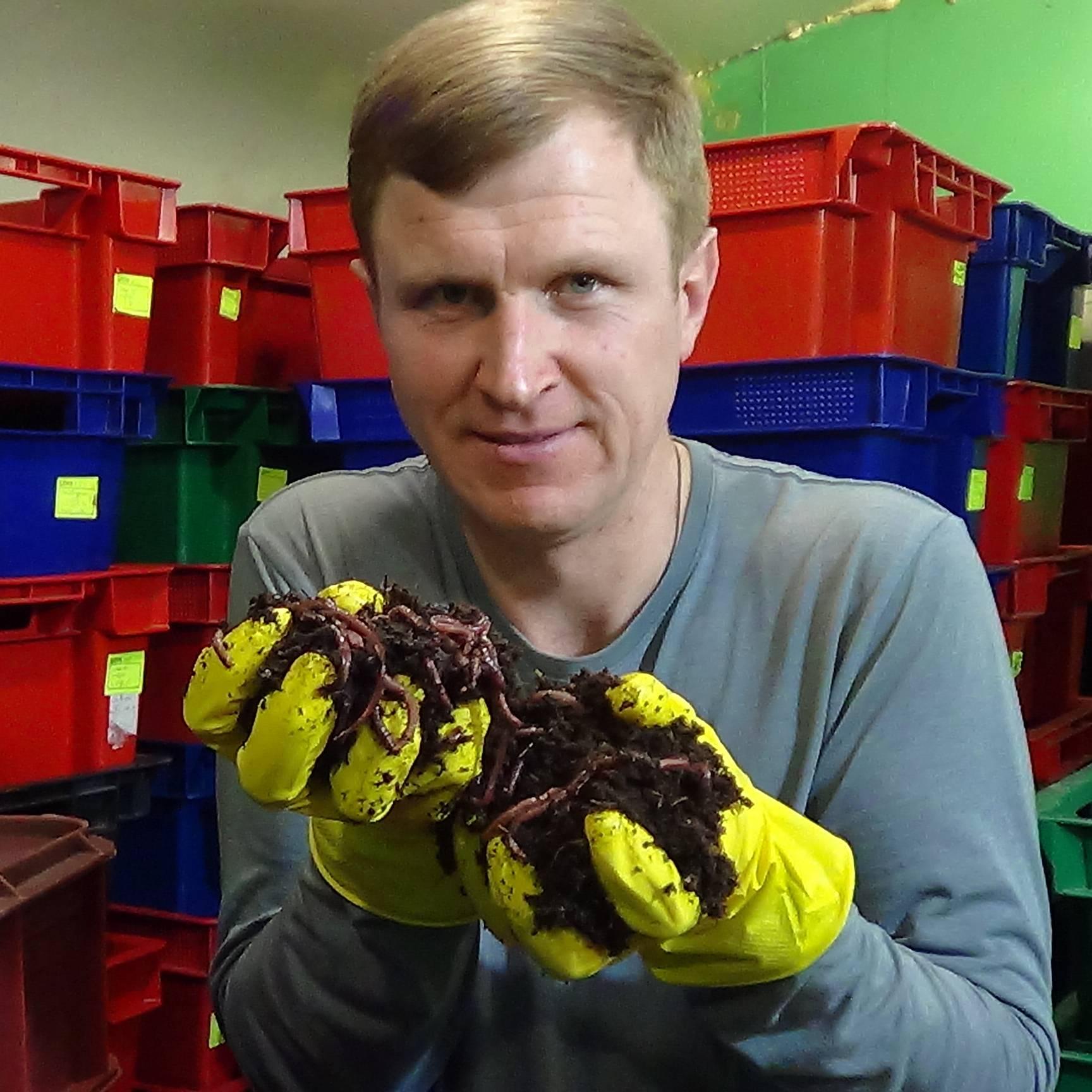 Аватар автора