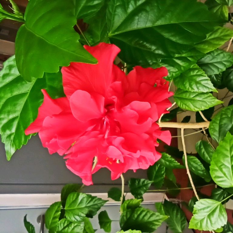 Иконка канала Milaha13