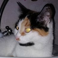 Иконка канала matilda petrova