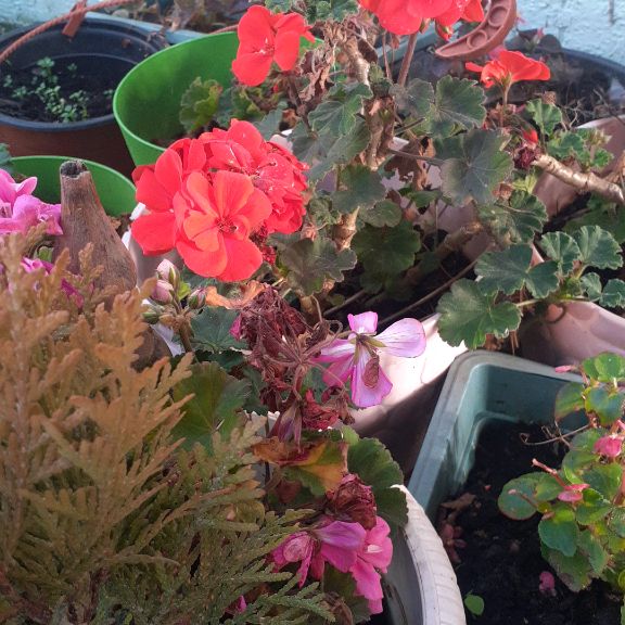 Иконка канала А. Людмила Сергеевна