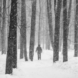 Камера-обскура