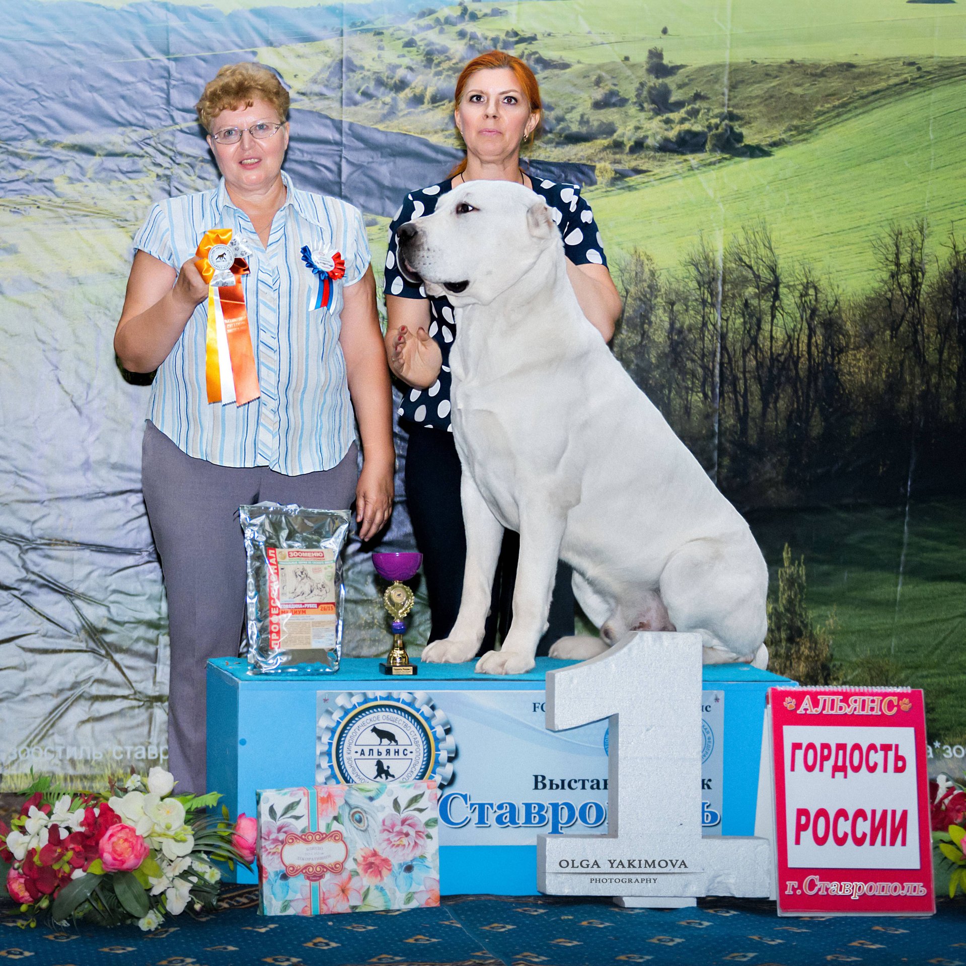 Аватар автора