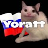 Иконка канала Yoratt • Beluga на русском