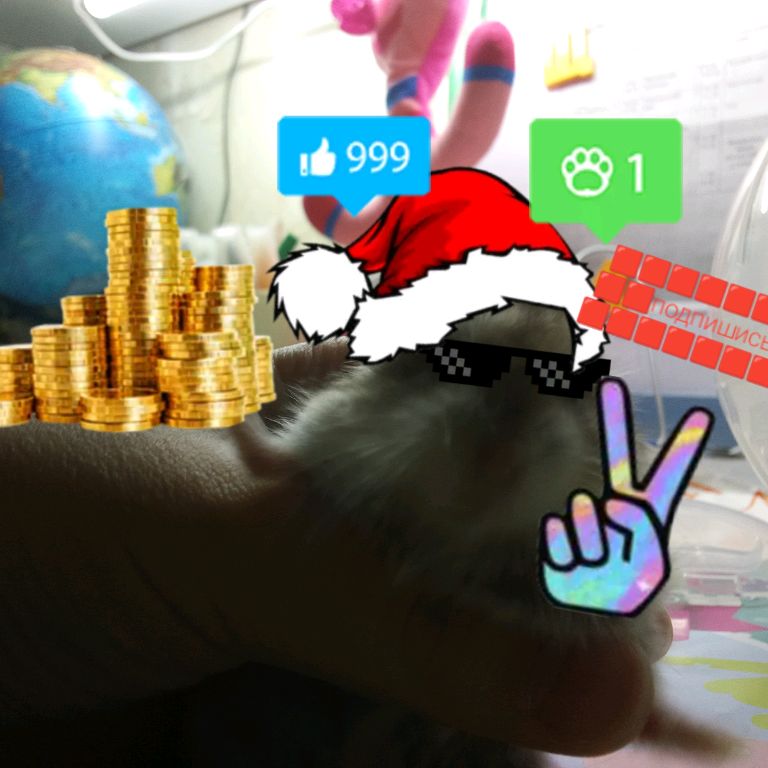 Аватар автора