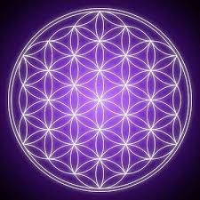 Иконка канала FurMENg