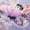 Иконка канала Мир Высоких Частот