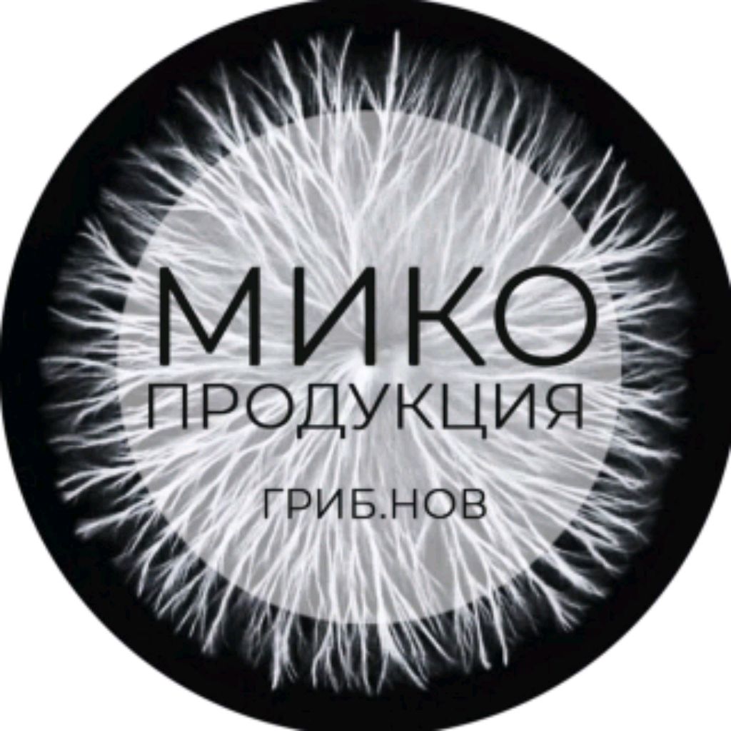 Иконка канала ГриБ.Нов