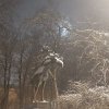 Иконка канала Макс Минаков