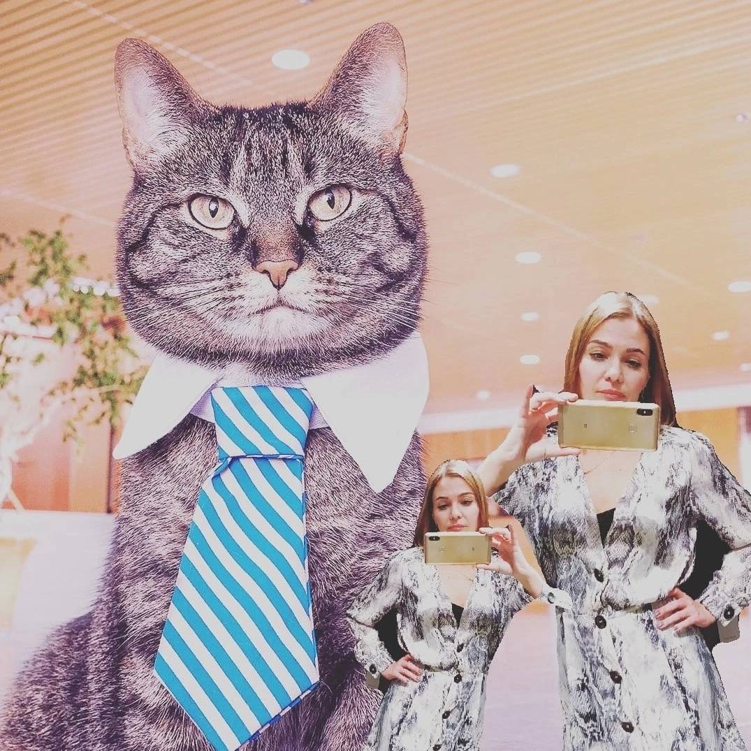 Аватар автора