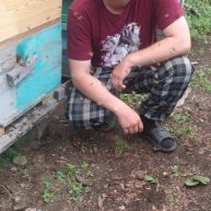 Иконка канала Пасека в прибайкалье. Р. Бурятия