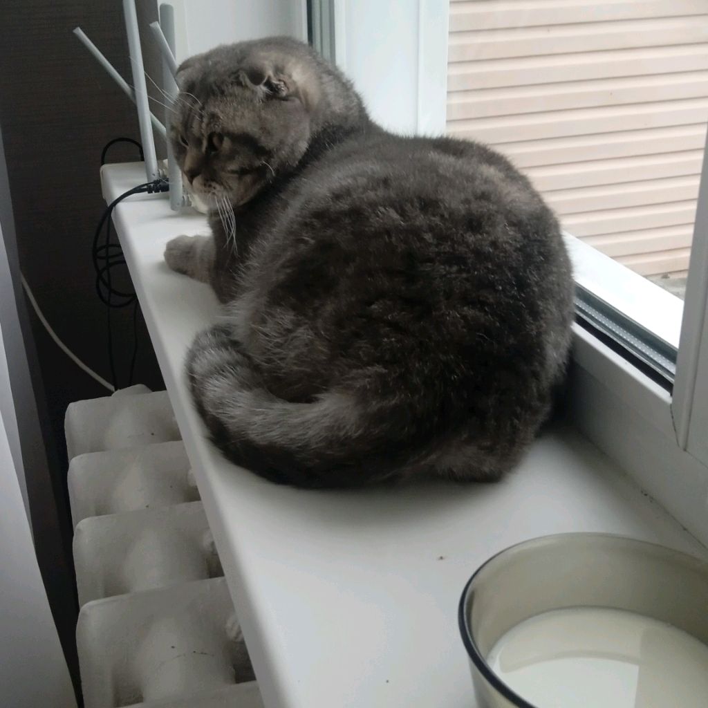 Аватар автора