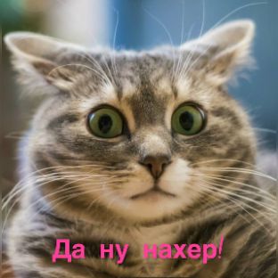 Иконка канала wladimir