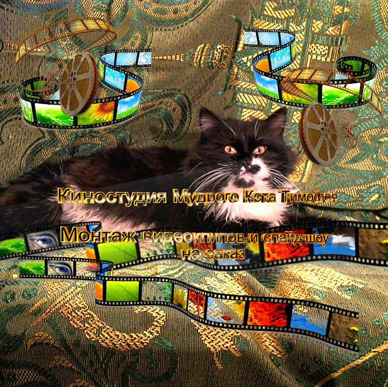 Аватар автора